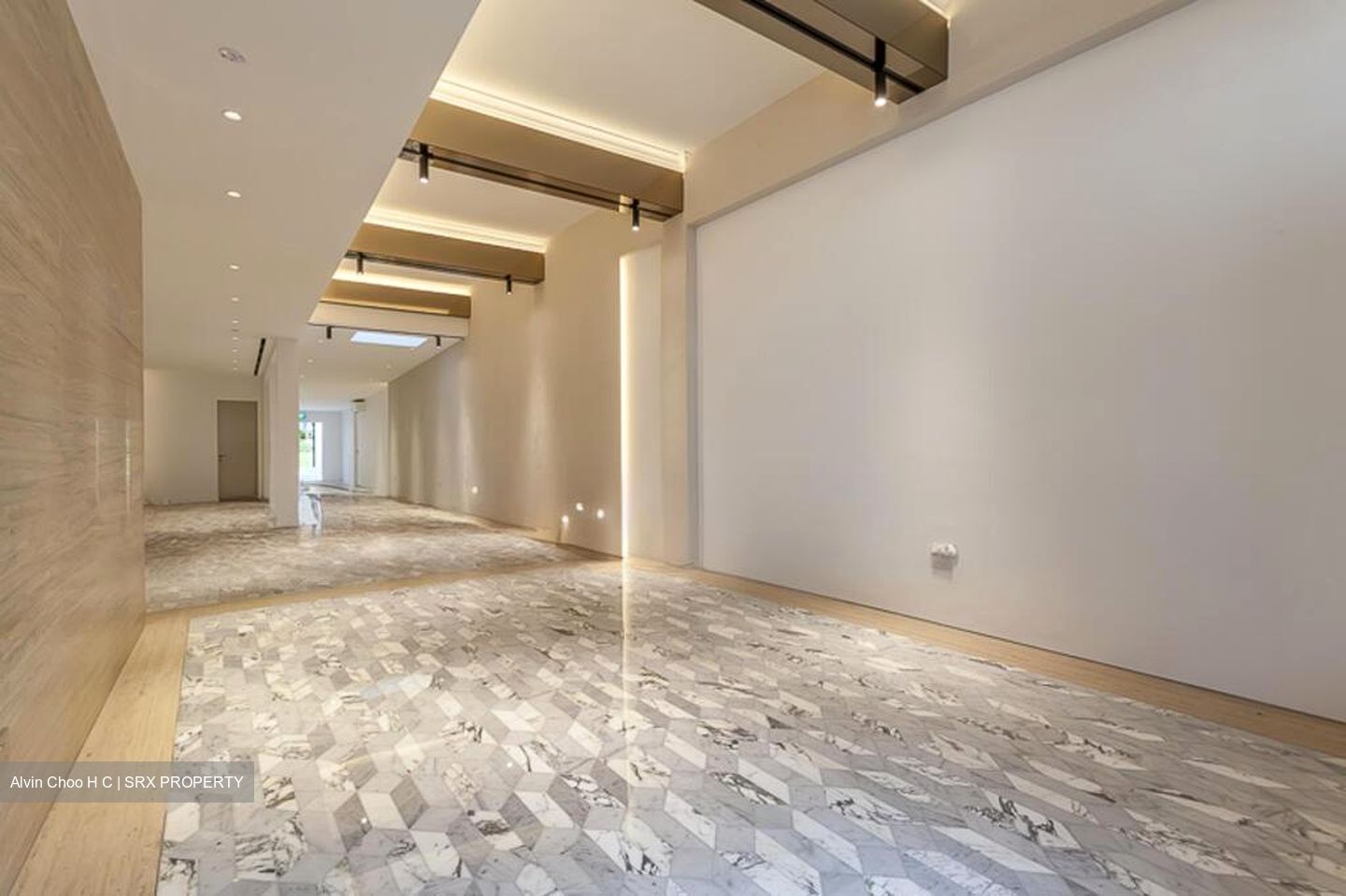 Sago Lane (D1), Shop House #502538291